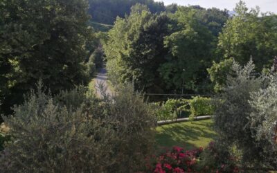 Vacanze 2020, vacanze indimenticabili!