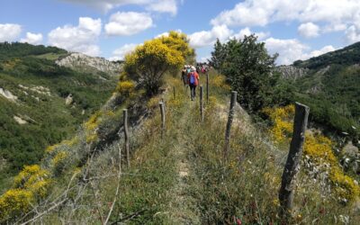 Venarotta e il cammino Francescano della Marca