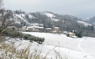 Le colline d’inverno e i nostri merli